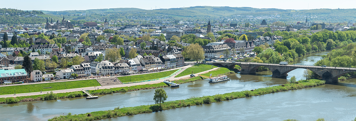 Trier Panorama Ansicht